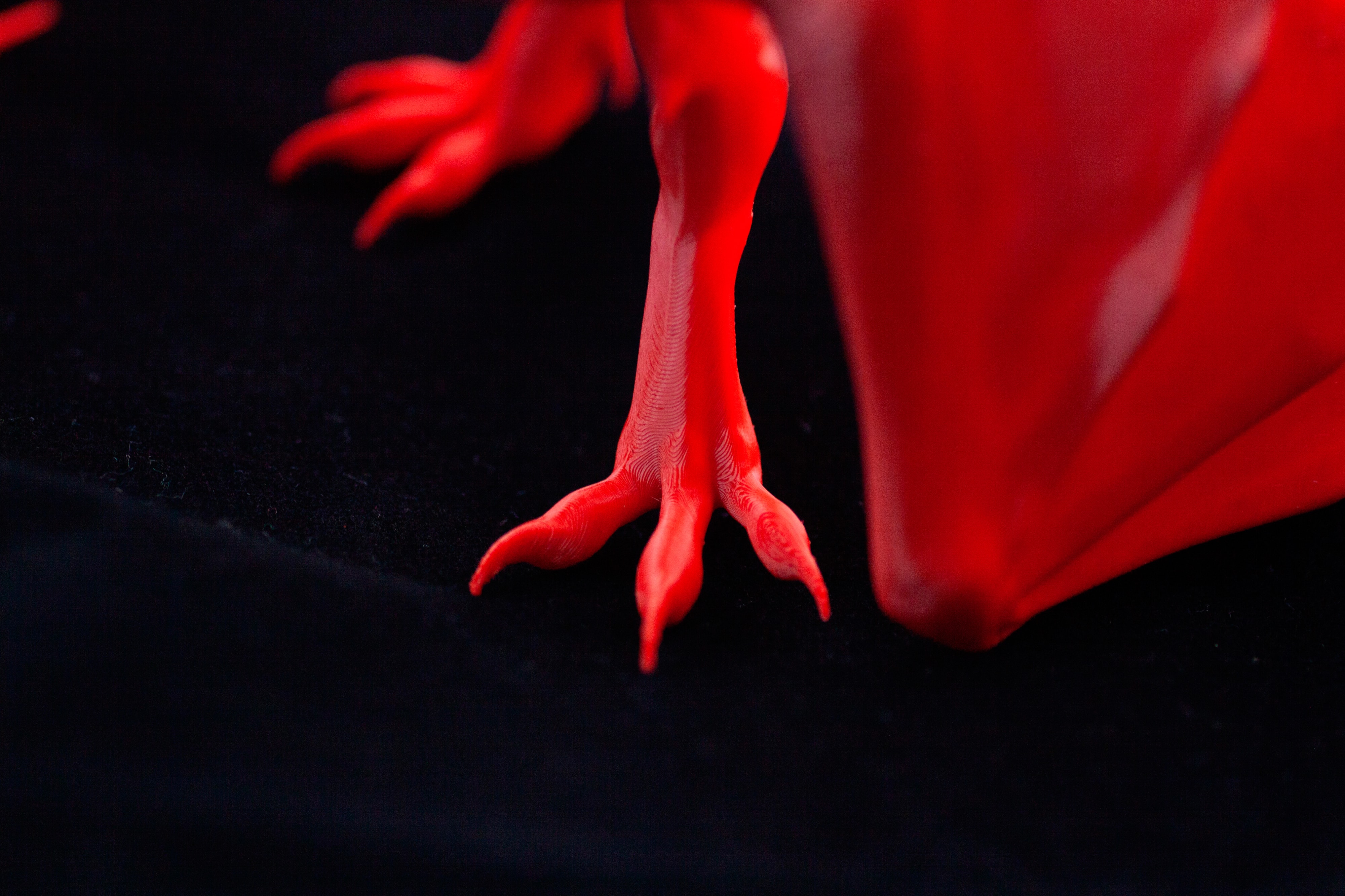 Dragon_1